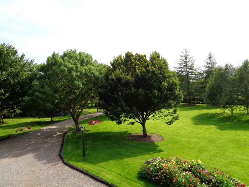 Redwood Bed and Breakfast Dunrine Exteriör bild