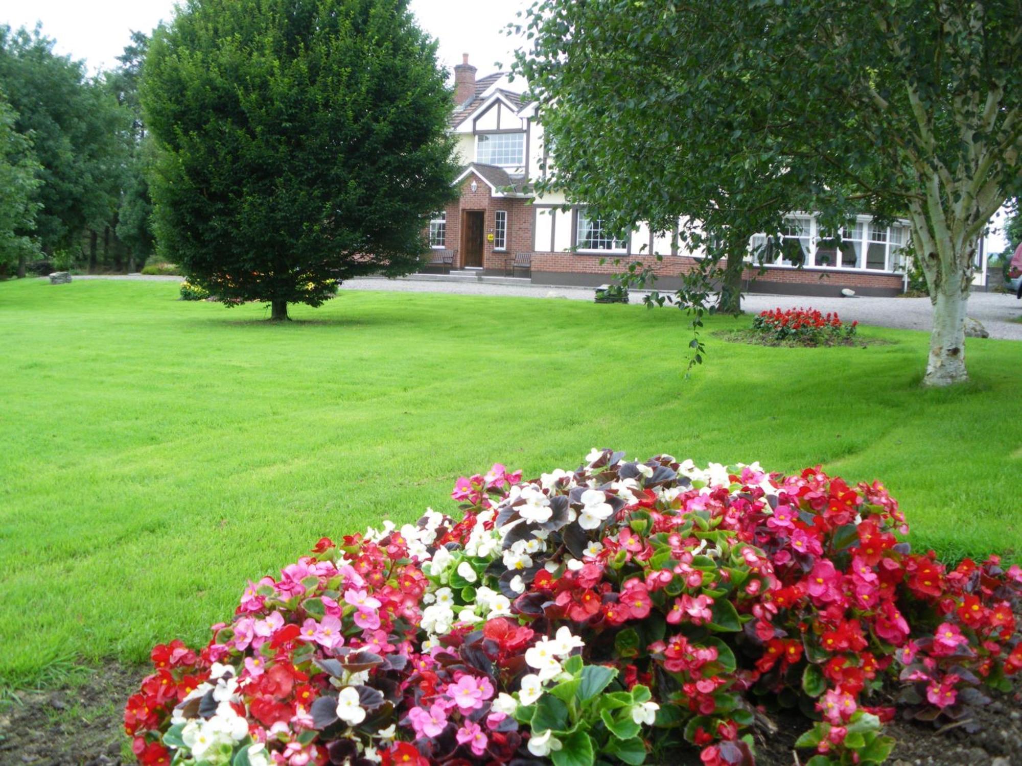 Redwood Bed and Breakfast Dunrine Exteriör bild